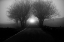Picture of FOG