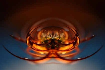 Picture of _ADAD_