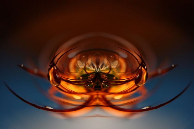 Picture of _ADAD_