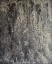 Picture of MOONLIGHT SERENADE