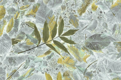 Picture of LEAF ART