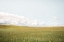 Picture of CARNEROS VALLEY NO.2
