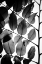 Picture of BRANCHES AND LEAVES II