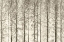 Picture of ASPENS