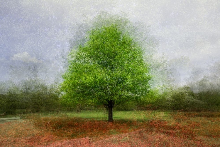 Picture of RED AND GREEN