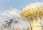 Picture of FLYING CAROUSEL