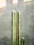 Picture of GREENS AND GREY | CACTI IN OAXACA MEXICO