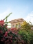 Picture of LA DOLCE VITA | AMALFI COAST ITALY