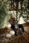 Picture of OLD WOMAN WITH PUMPKINS