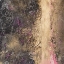 Picture of JP5 0022 SQ