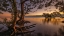 Picture of DAWN AT NUDGEE BEACH