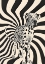 Picture of THE DALMATIAN