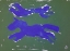 Picture of LETS FLY TOGETHER