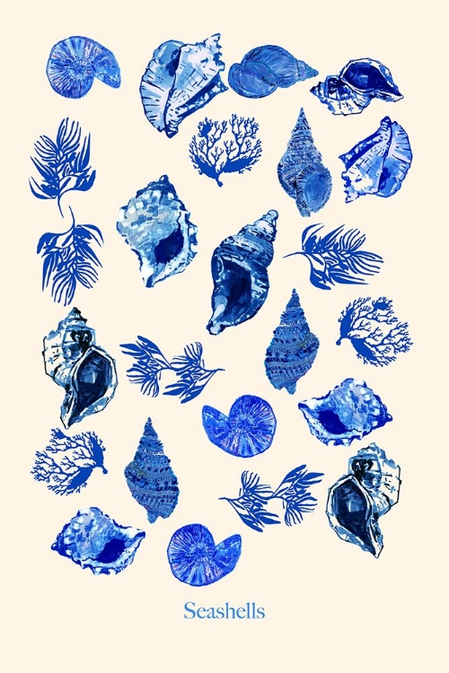 Picture of SEASHELLS POSTER