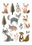 Picture of CUTE ANIMALS NO 1