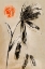 Picture of GENTLE TRANSIENCE