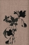 Picture of BLACK FLORAL 3