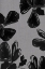 Picture of BLACK FLORAL 5