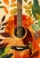 Picture of MUSIC GUITAR COLLAGE (3)