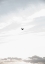 Picture of FLYING HIGH