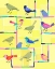 Picture of URBAN BIRDS