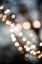 Picture of WINTER LIGHTS