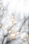 Picture of WINTER LIGHTS 2