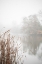 Picture of AT THE LAKE