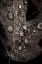 Picture of RAINY FALL