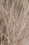 Picture of SUMMER GRASS 3