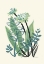 Picture of FOLIAGE N.3