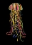 Picture of RAINBOW JELLYFISH