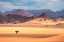Picture of NAMIBIA - SOLITUDE