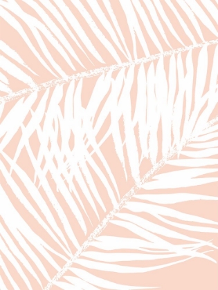 Picture of PINK PALM