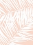 Picture of PINK PALM