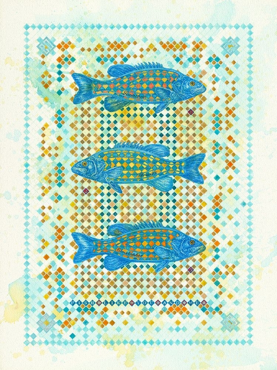 Picture of FISH LIKE YOU AND ME
