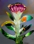 Picture of FLOWER Z