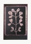 Picture of PASTEL BOTANICS