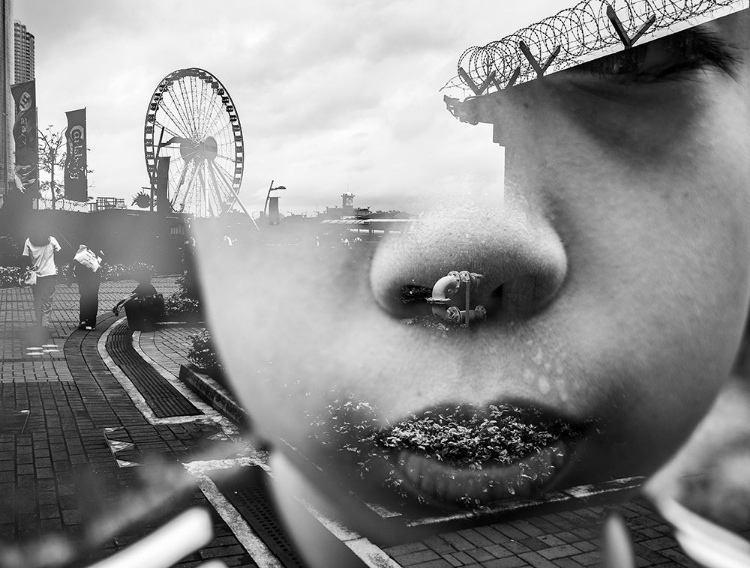 Picture of UNTITLED