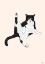 Picture of SASSY CAT
