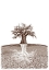 Picture of BAOBAB MYTHICAL ROOTS