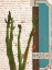 Picture of CACTUS I
