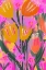 Picture of WILD FLOWER FIELD