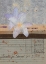 Picture of FRANGIPANI