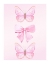 Picture of BUTTERFLIES