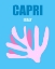 Picture of CAPRI