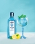 Picture of GIN COCKTAIL