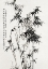 Picture of CHINESE BAMBOO (1760)