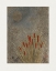 Picture of JAPANESE GRASS FIELD AT NIGHT (1807A??1891)