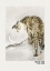 Picture of ROARING TIGER ART POSTER